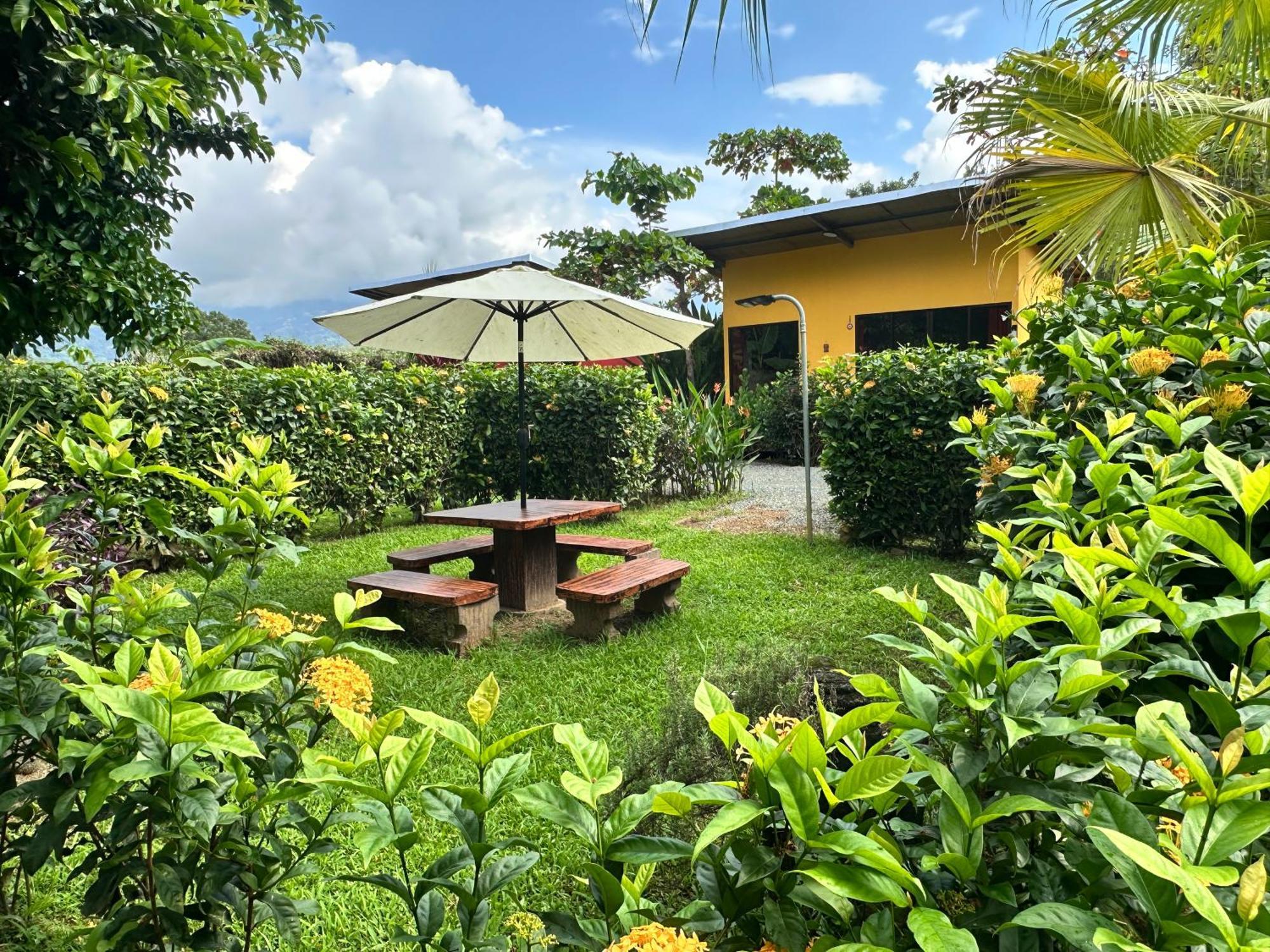 Uvita Oasis Retreat With Villa Cabins And Apartment Exterior photo