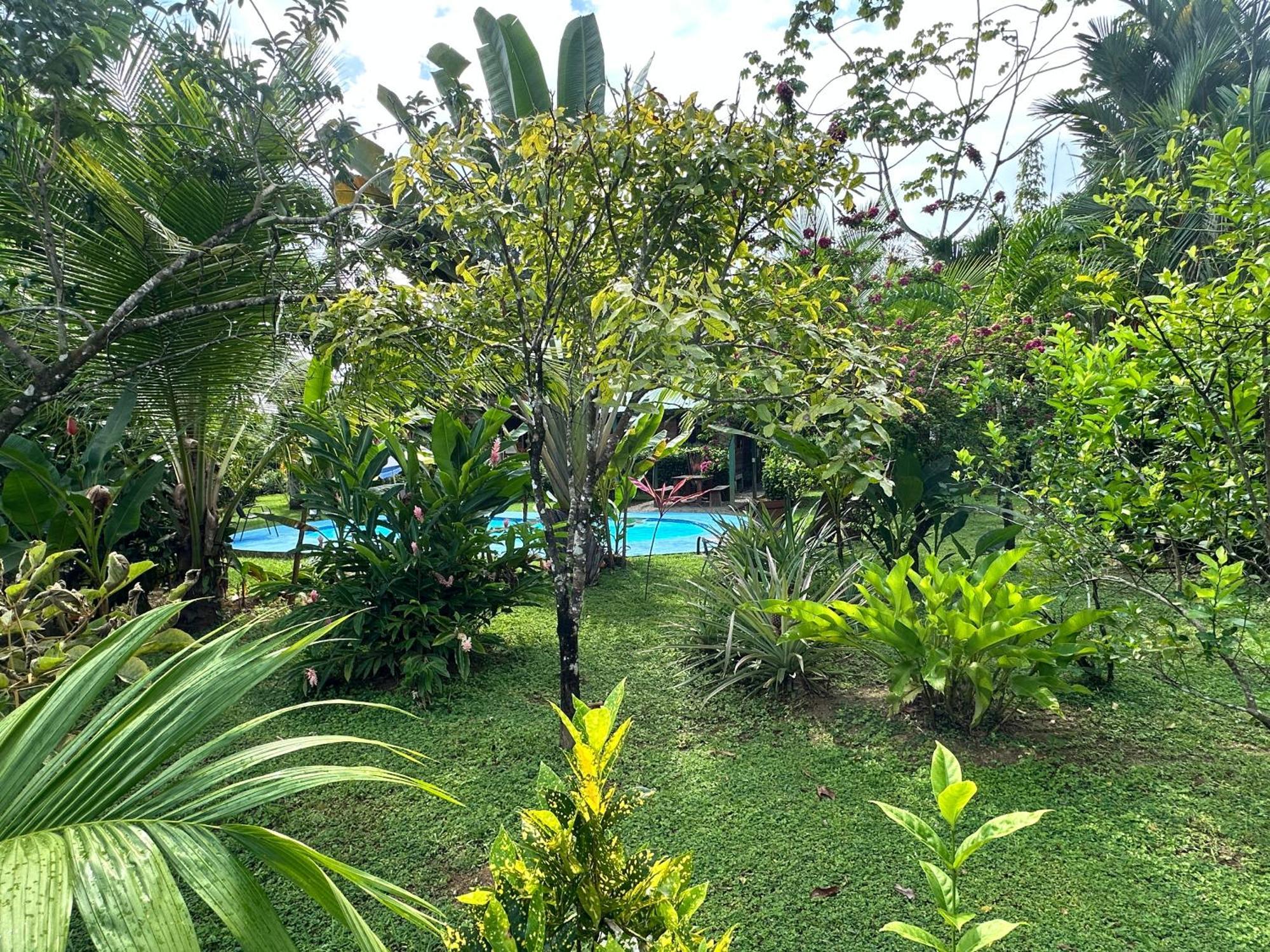 Uvita Oasis Retreat With Villa Cabins And Apartment Exterior photo